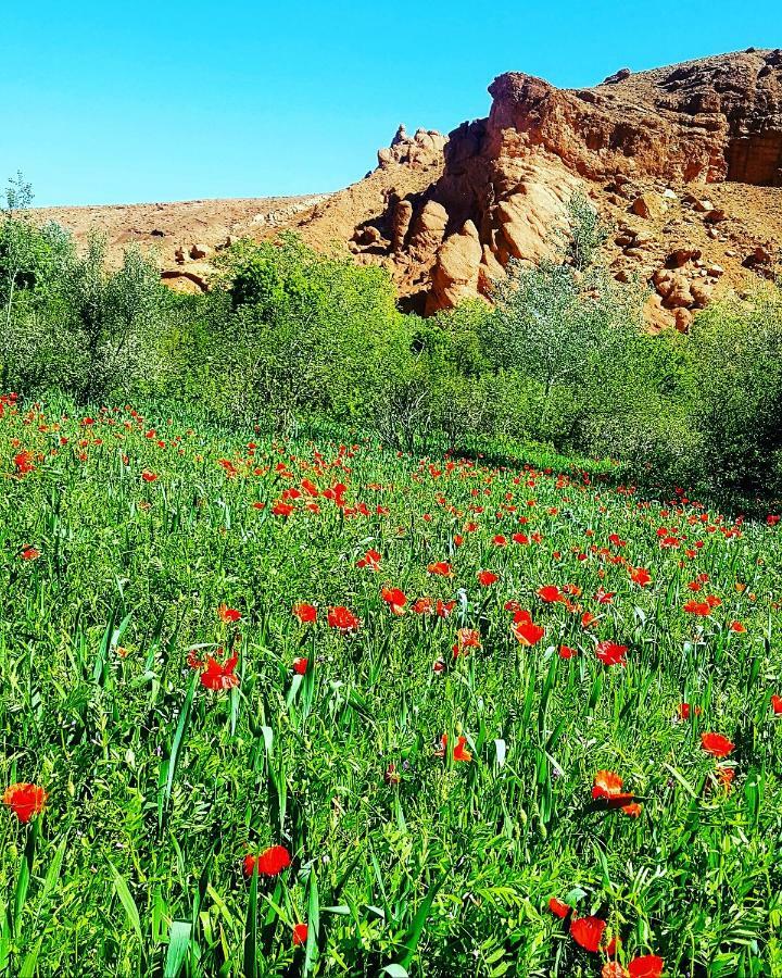 Auberge Kasbah Ait Marghad Tamellalt  Exteriér fotografie